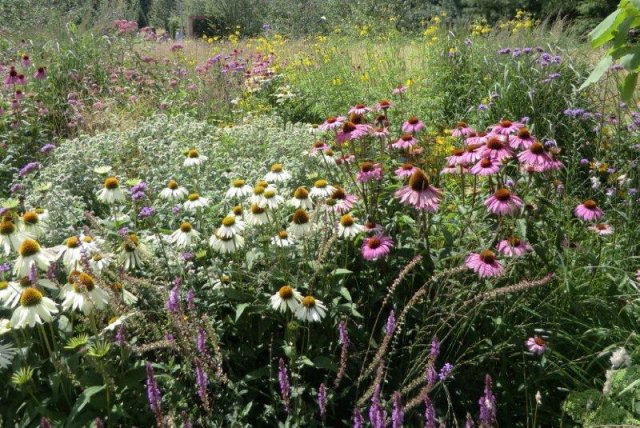 Floriade